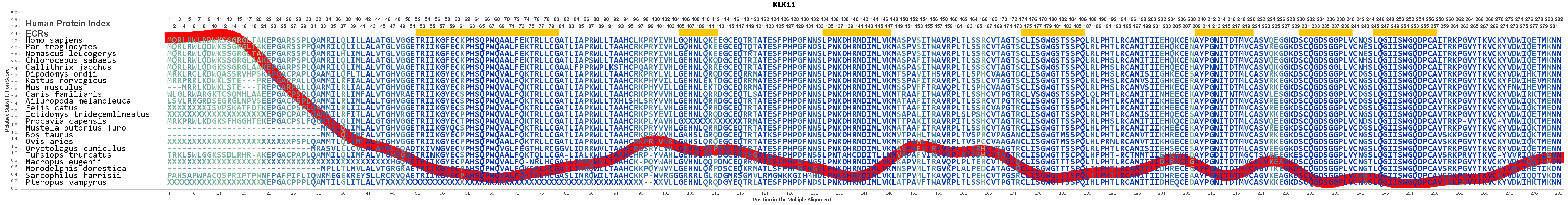 Klk Gene Genecards Klk Protein Klk Antibody