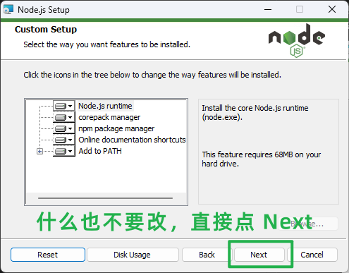 node-js-setup-custom.png