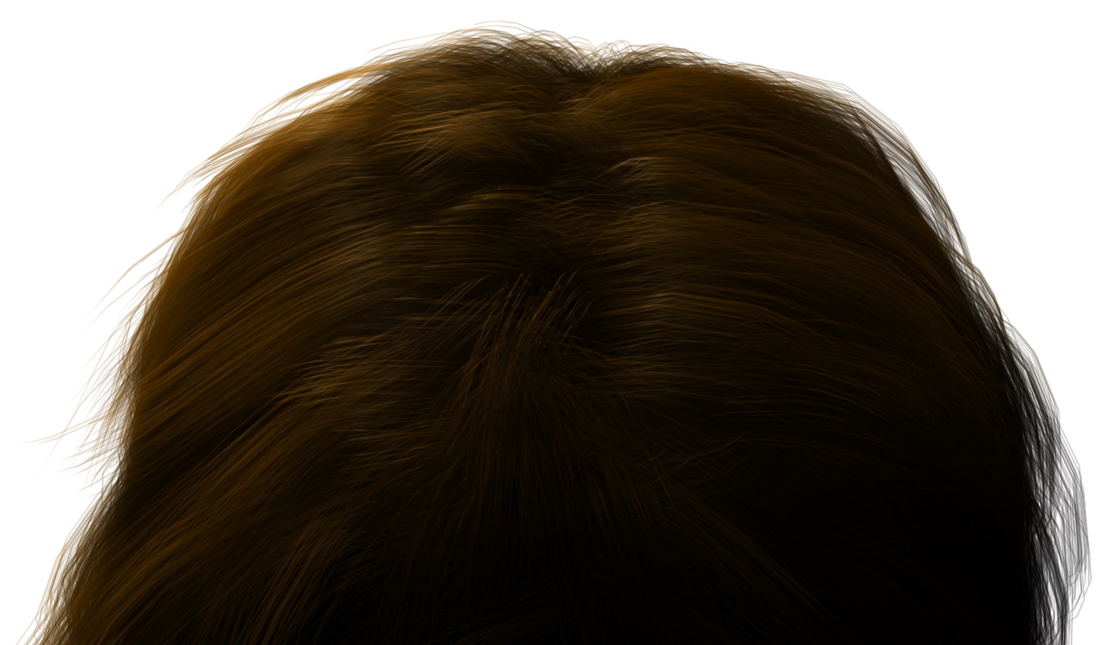 ponytail-hair.jpg