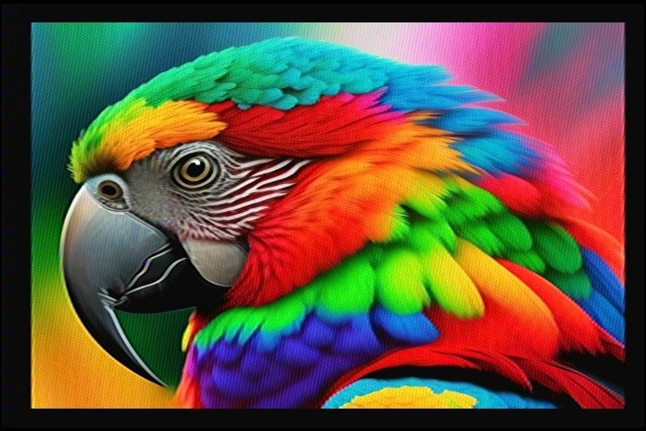 parrot_ntsc.png