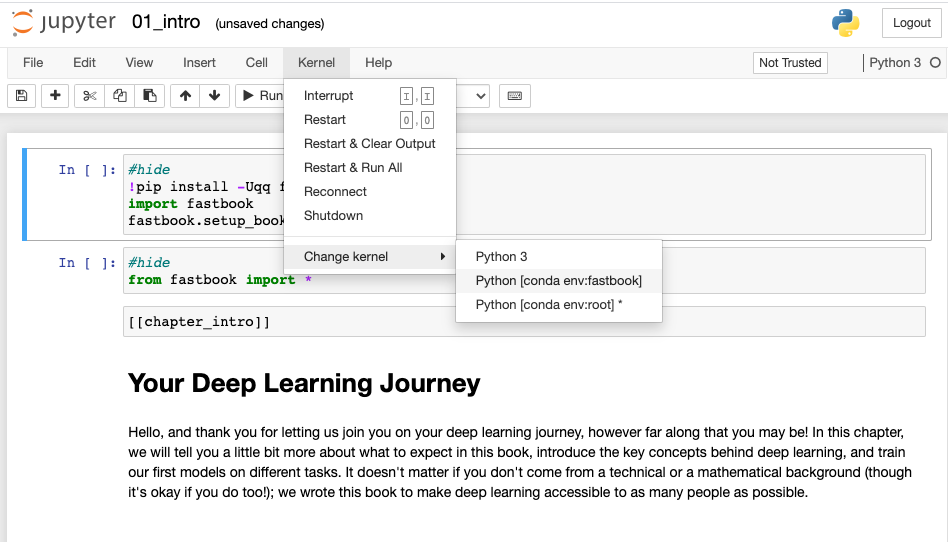 jupyter_notebook_fastbook_kernel_selection.png