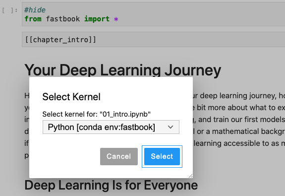 jupyterlab_fastbook_kernel_selection.png