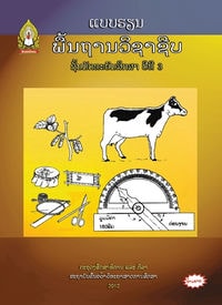 ພື້ນຖານວິຊາຊີບ