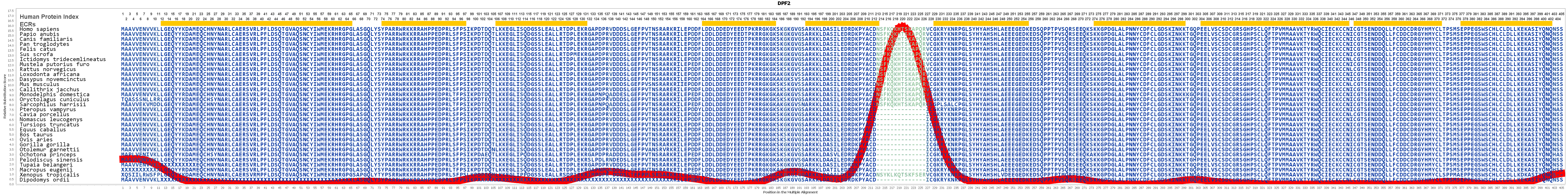 Dpf2 honda аналог