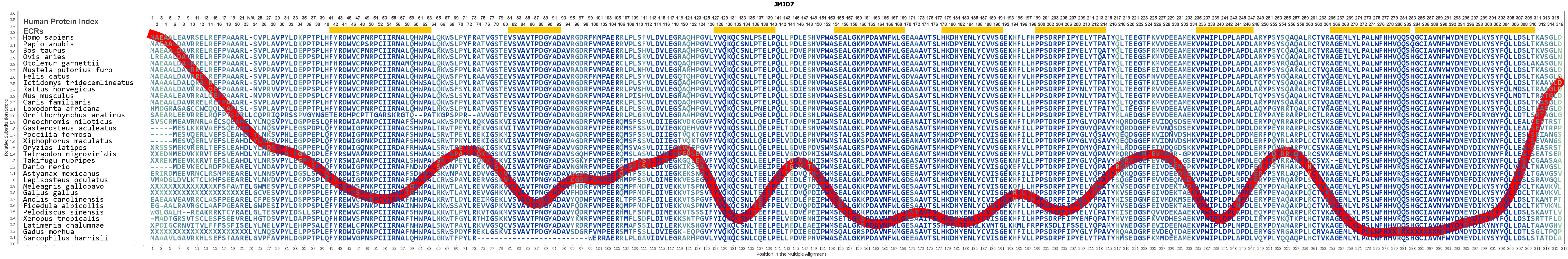 Jmjd7 Gene Genecards Jmjd7 Protein Jmjd7 Antibody