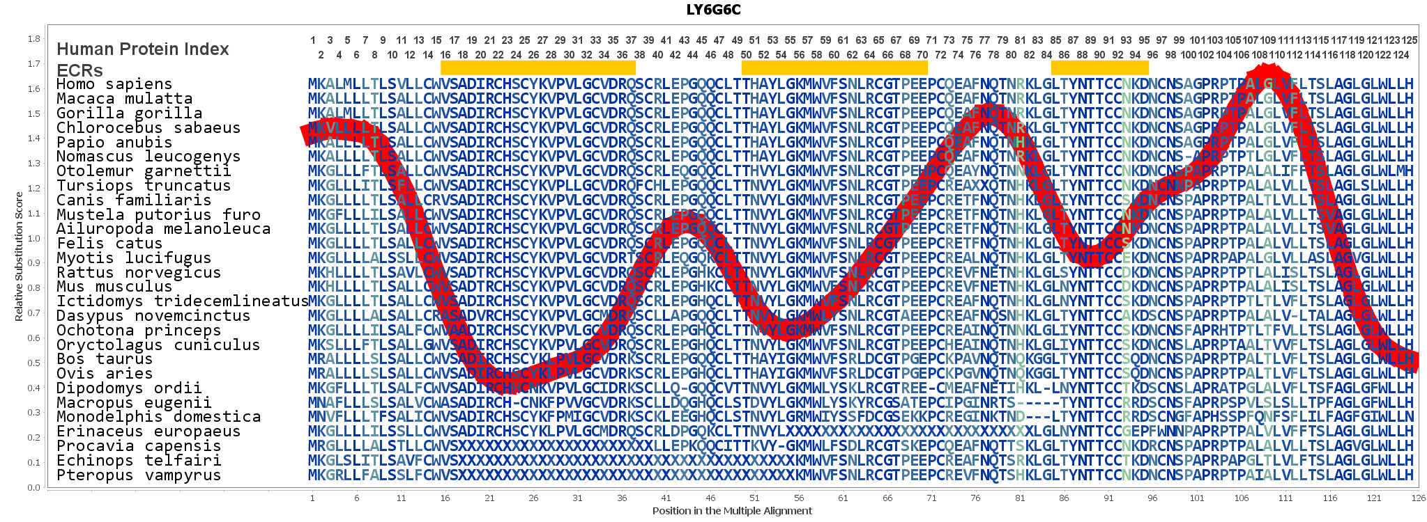 Ly6g6c Gene Genecards Ly66c Protein Ly66c Antibody