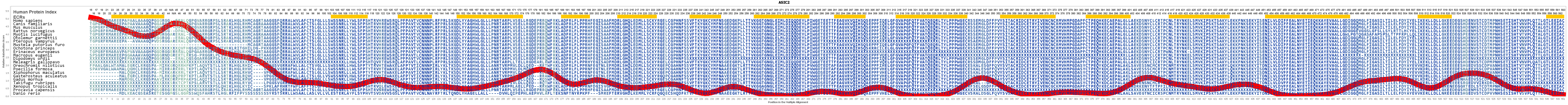 ASIC2 Gene - GeneCards | ASIC2 Protein 