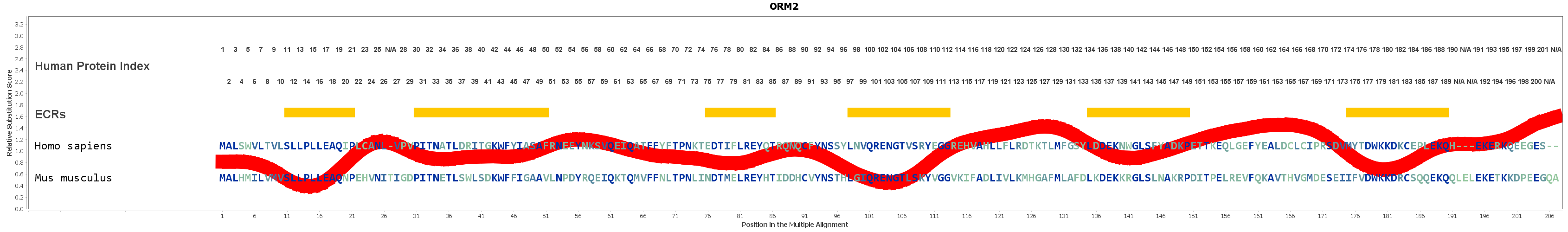 Orm2 Gene Genecards A1ag2 Protein A1ag2 Antibody