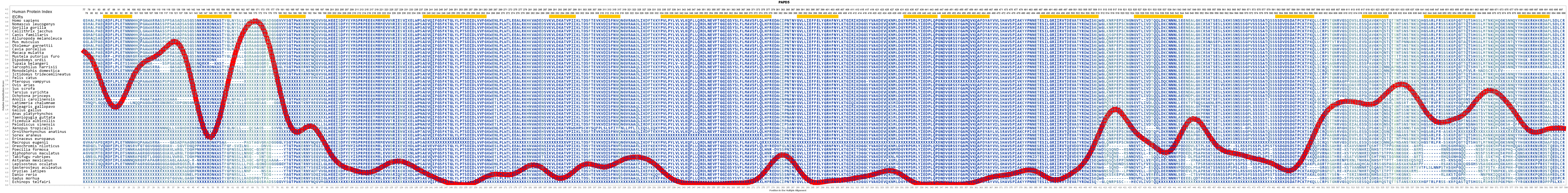 Tent4b Gene Genecards Papd5 Protein Papd5 Antibody