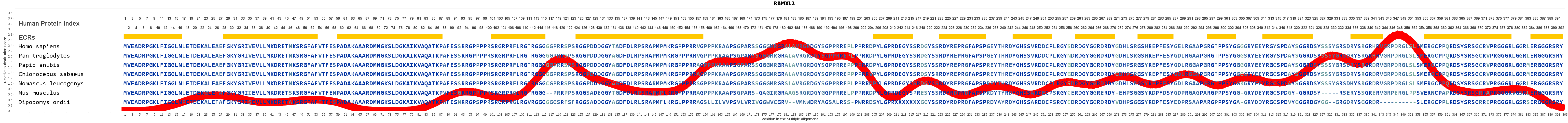 Rbmxl2 Gene Genecards Rmxl2 Protein Rmxl2 Antibody