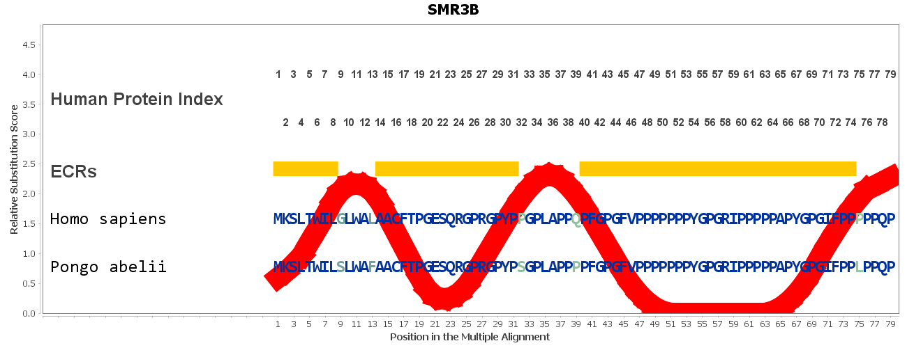 Smr3b Gene Genecards Smr3b Protein Smr3b Antibody