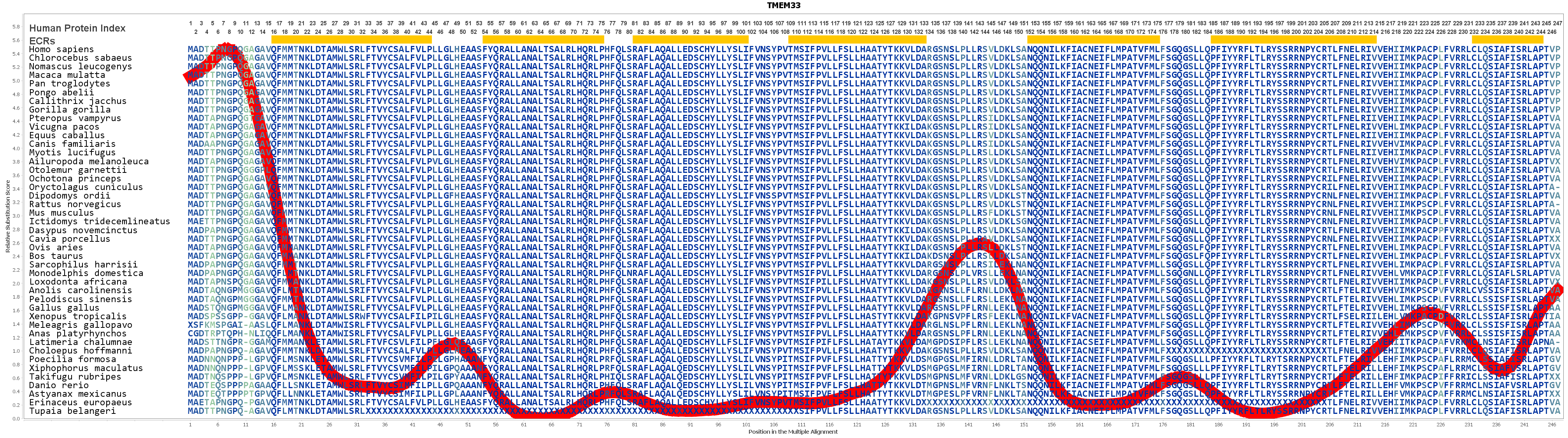 Tmem33 Gene Genecards Tmm33 Protein Tmm33 Antibody