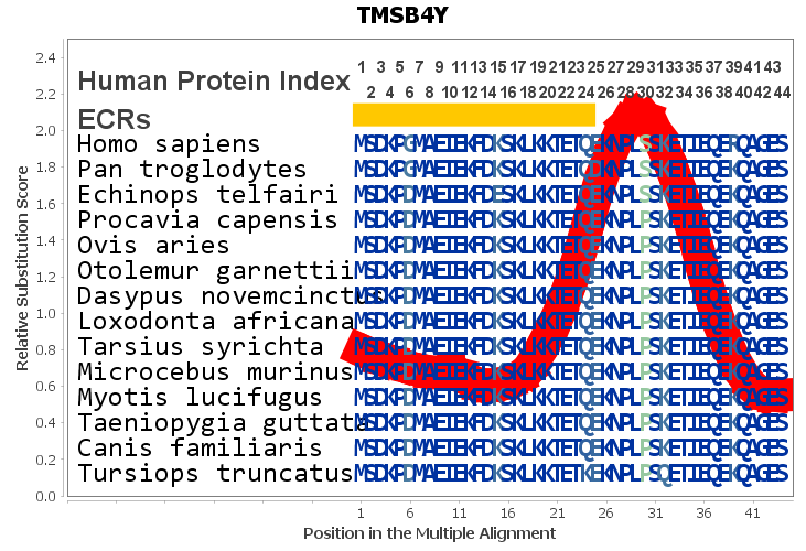 Tmsb4y Gene Genecards Tyb4y Protein Tyb4y Antibody