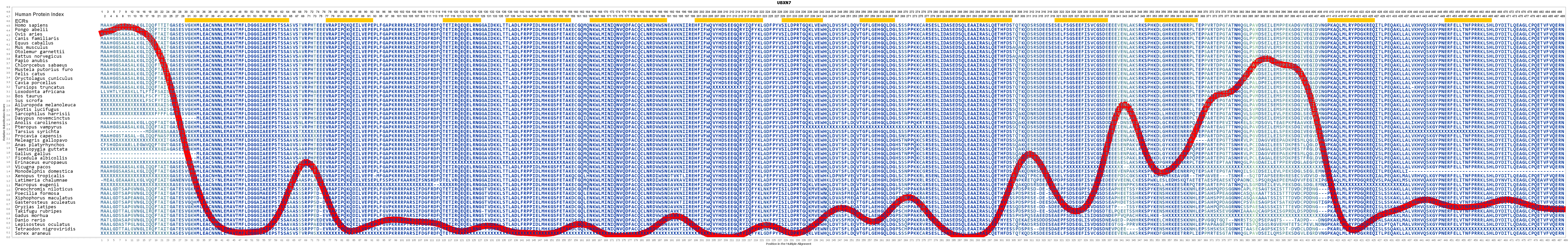 Ubxn7 Gene Genecards Ubxn7 Protein Ubxn7 Antibody