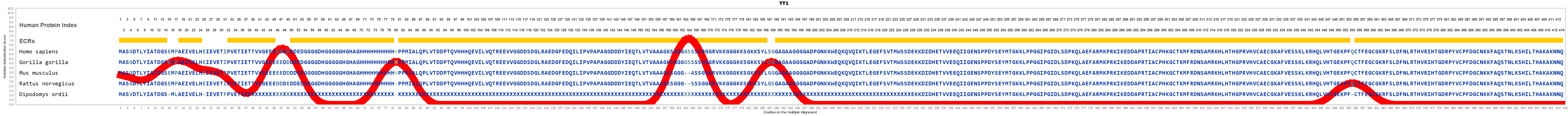 Yy1 Gene Genecards Tyy1 Protein Tyy1 Antibody - rank names roblox amino