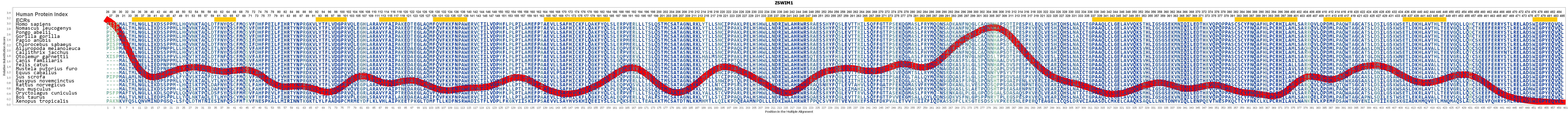 Zswim1 Gene Genecards Zswm1 Protein Zswm1 Antibody