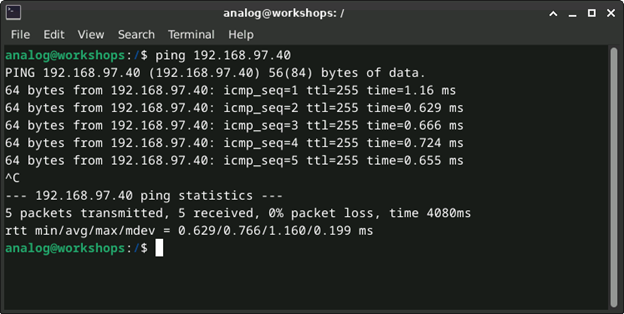 Ping command output