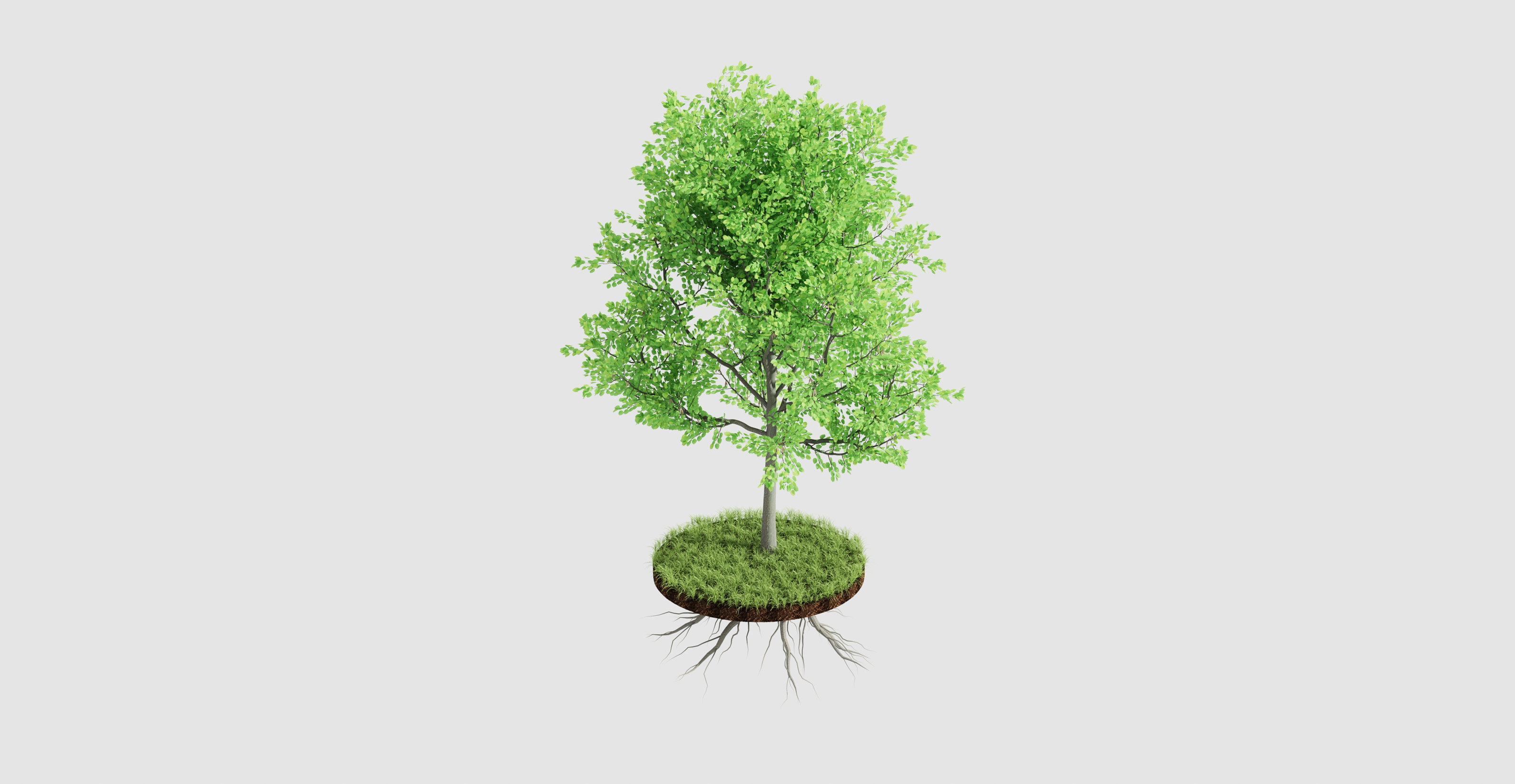 A rendered scene of a tree and grass