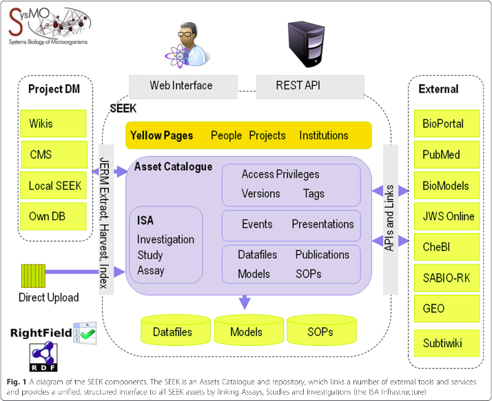 SEEK:design.png