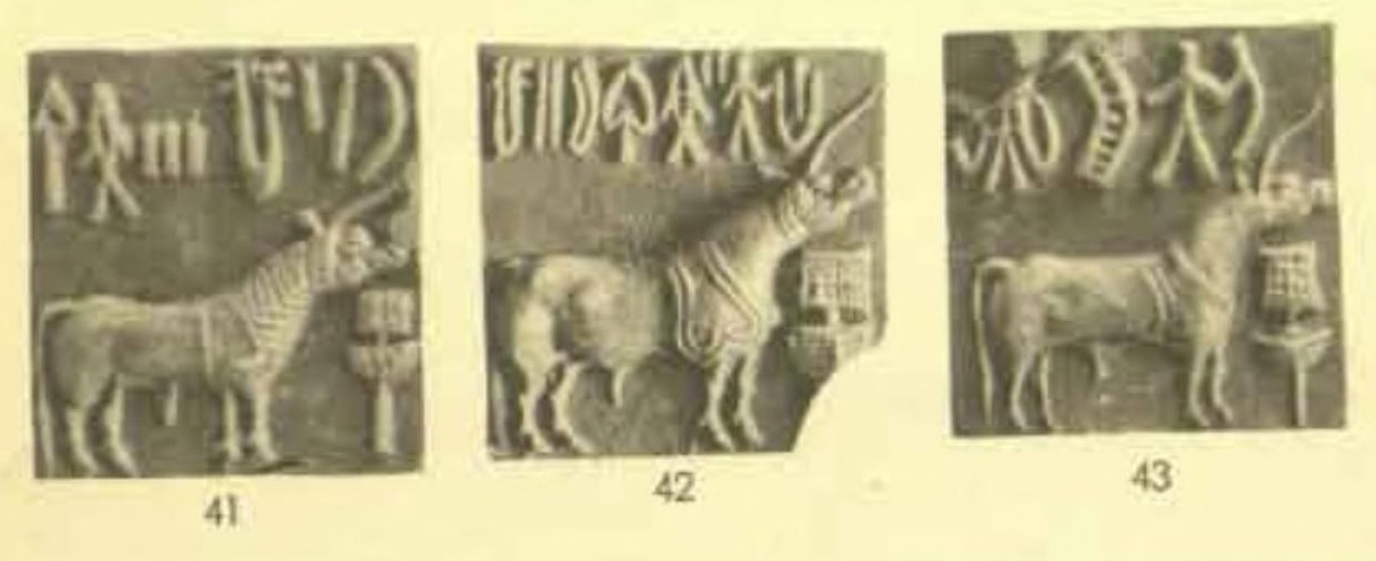 Three Indus seals with short inscriptions above animal motifs