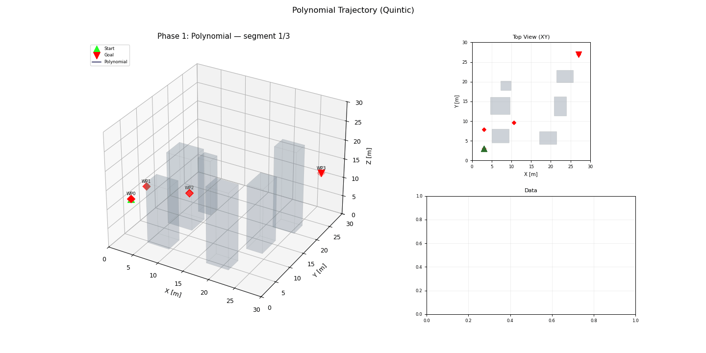 Polynomial Trajectory