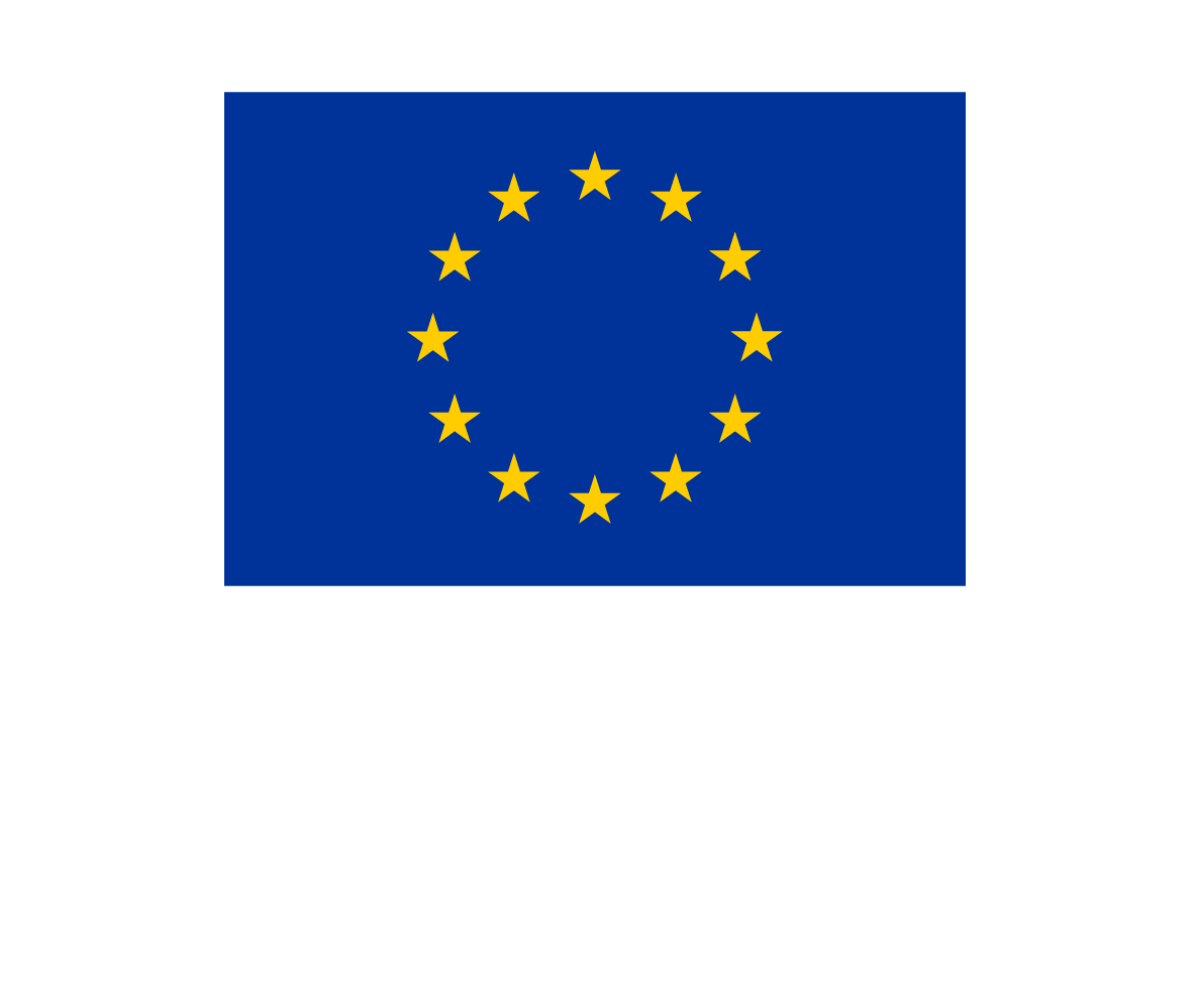 Funded by the European Union—NextGenerationEU