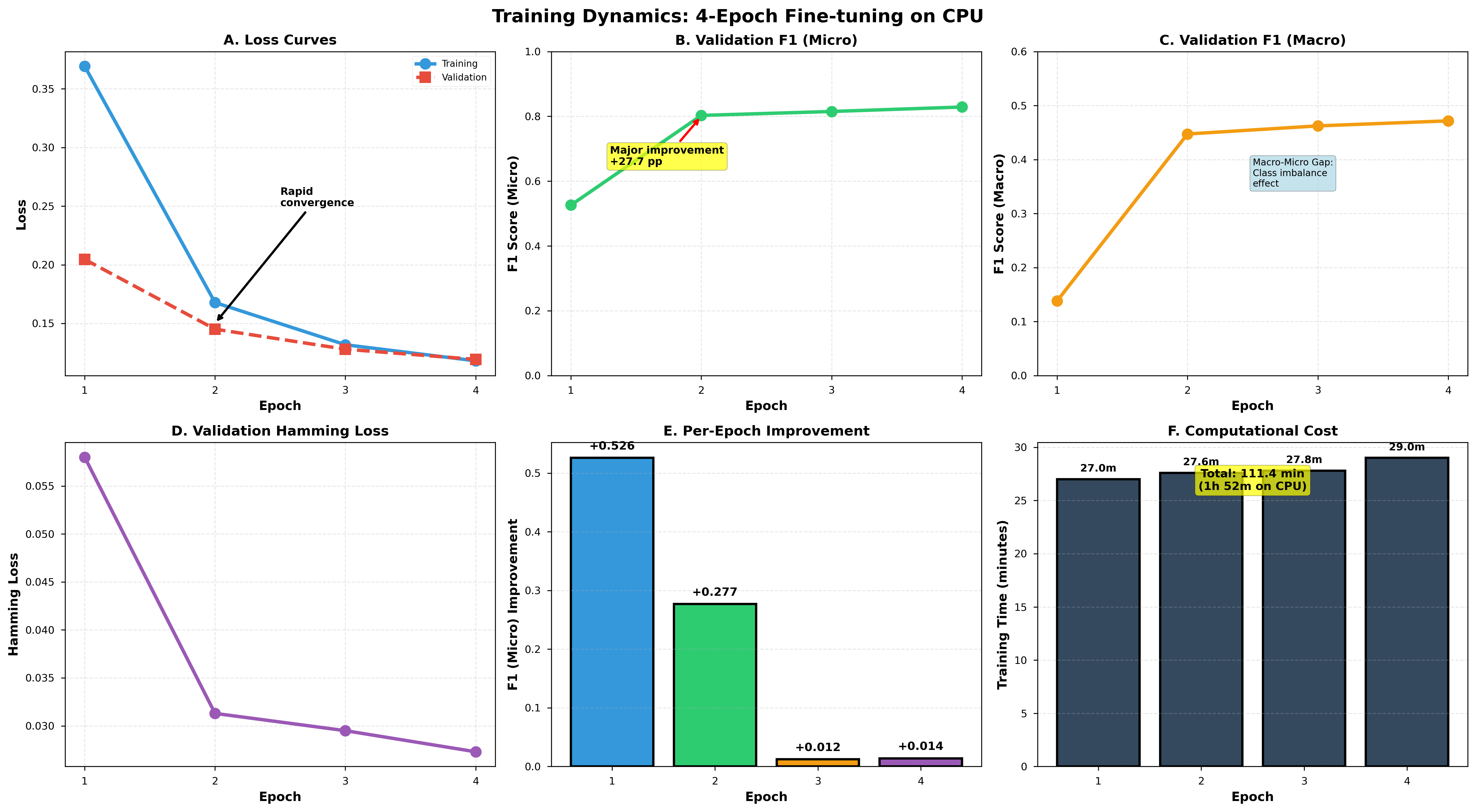Training and Validation Curves