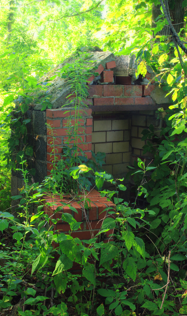 30-abandoned_fireplace.jpg