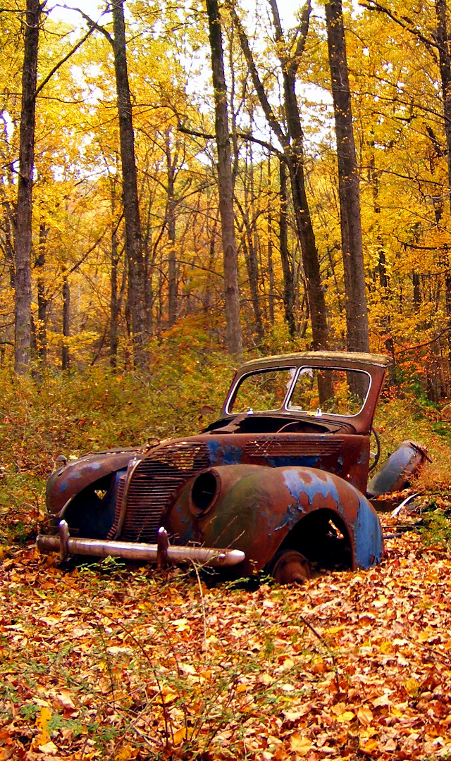 36-abandoned_car.jpg