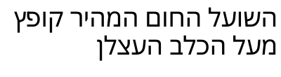 a_hebrew_paragraph.png