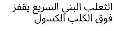 an_arabic_paragraph.png