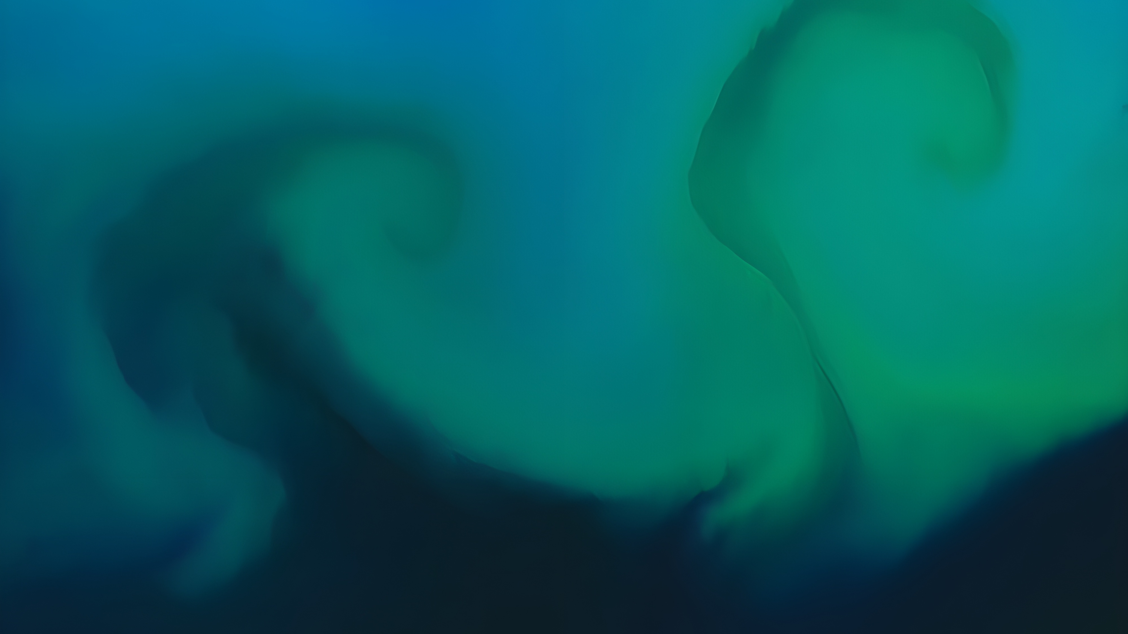 phytoplankton_bloom_nasa_oli2_20240121.jpg