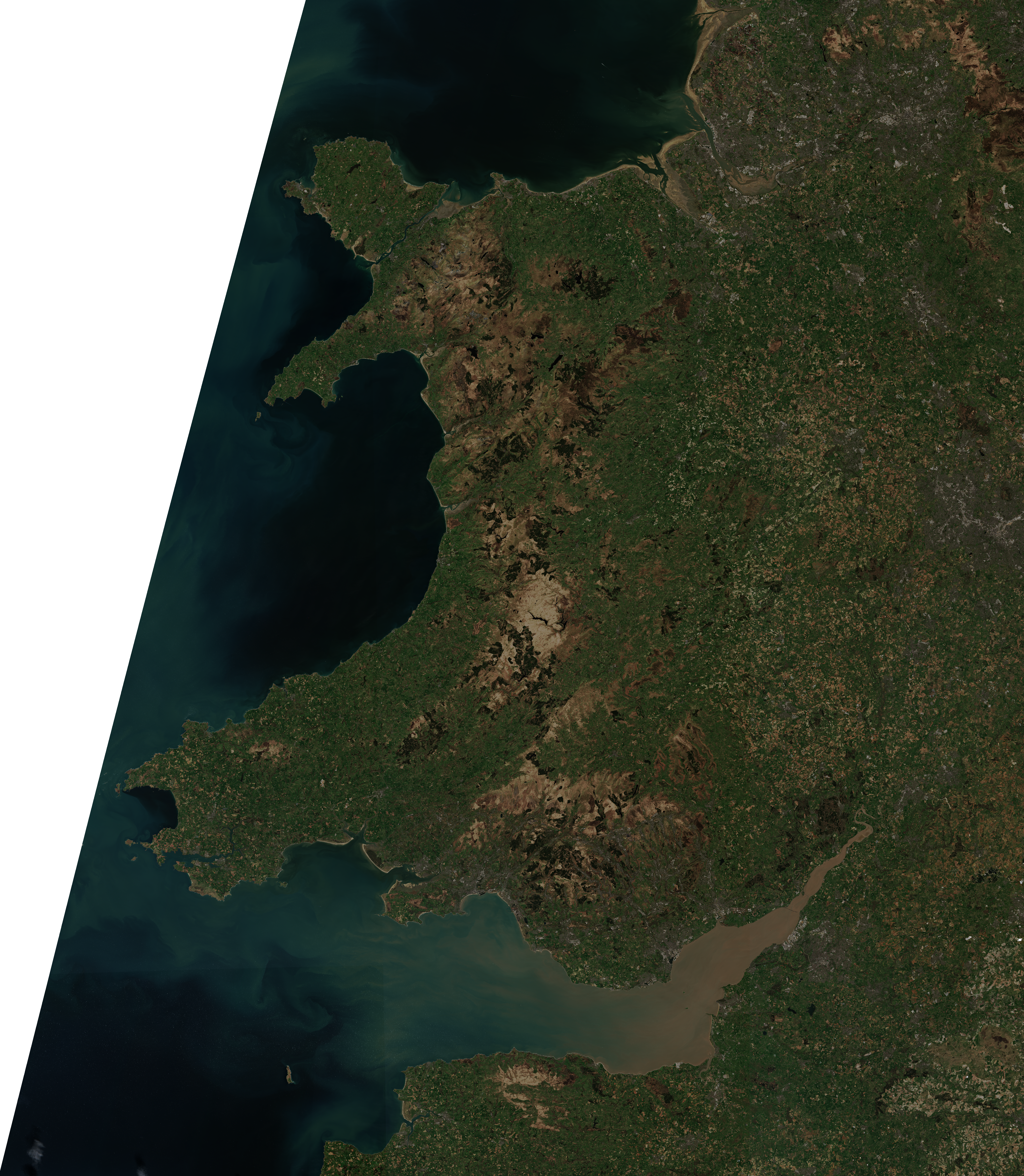April 5 Image