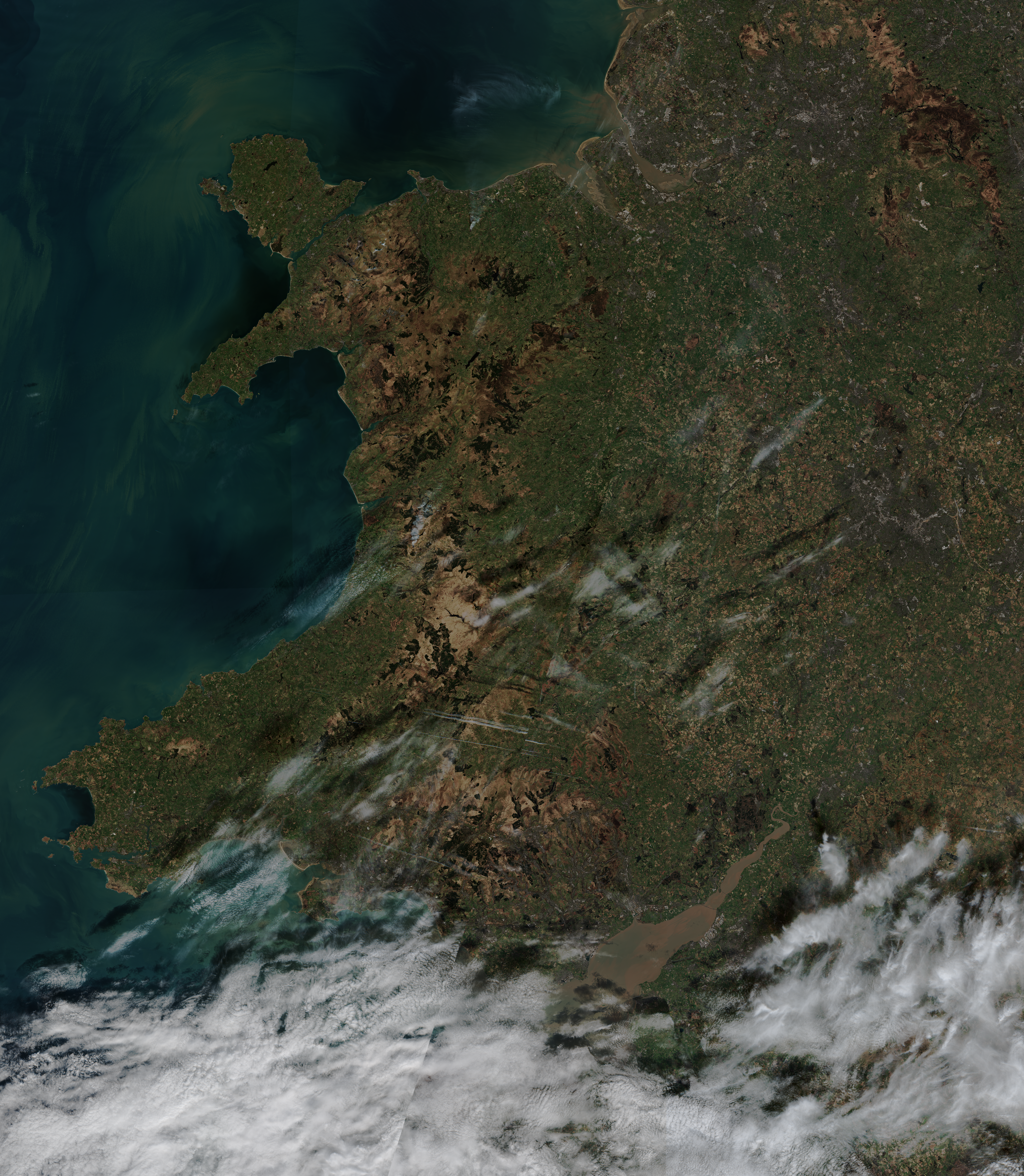 March 19 Image