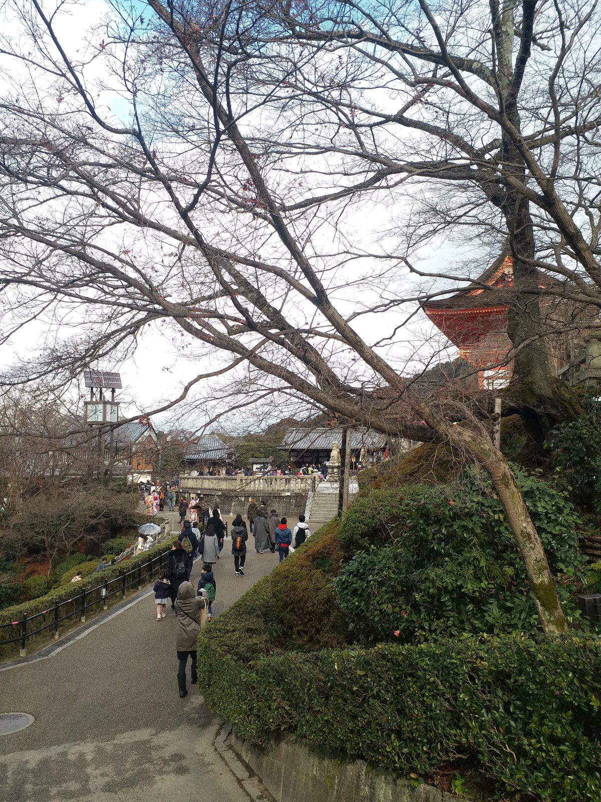 20171225_121440.jpg
