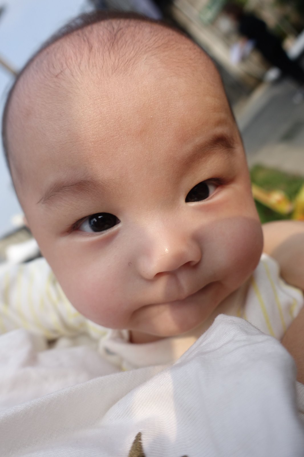 DSC04712.JPG