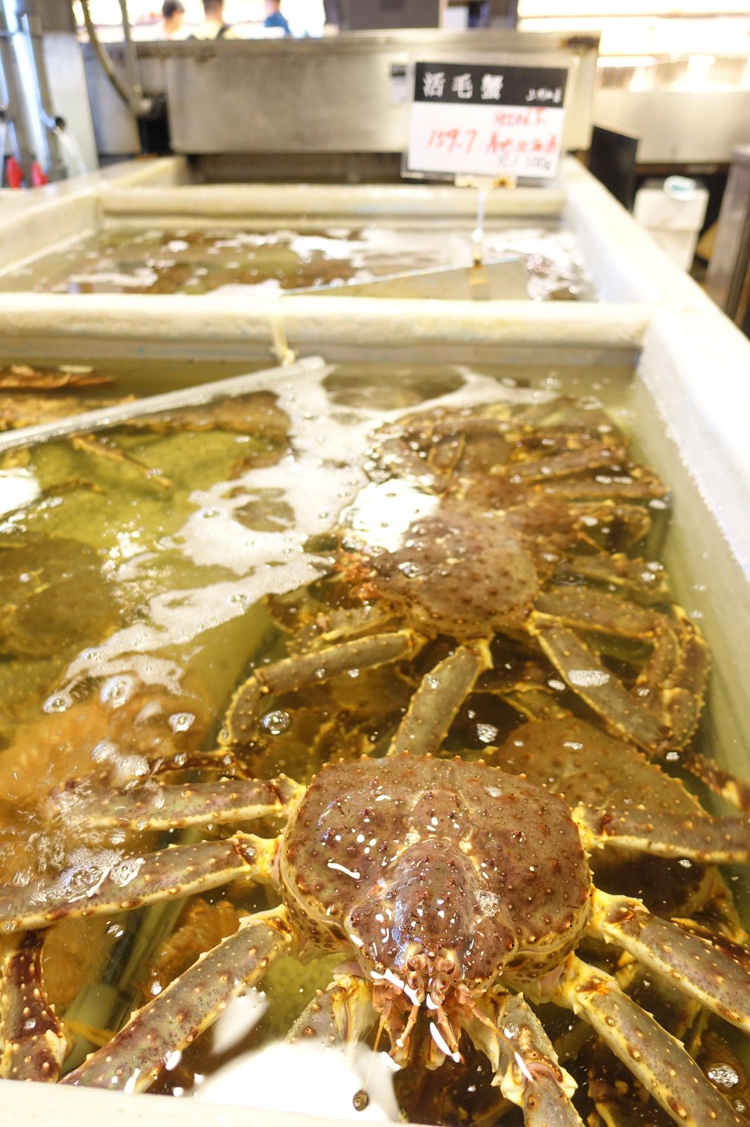 DSC05342.JPG