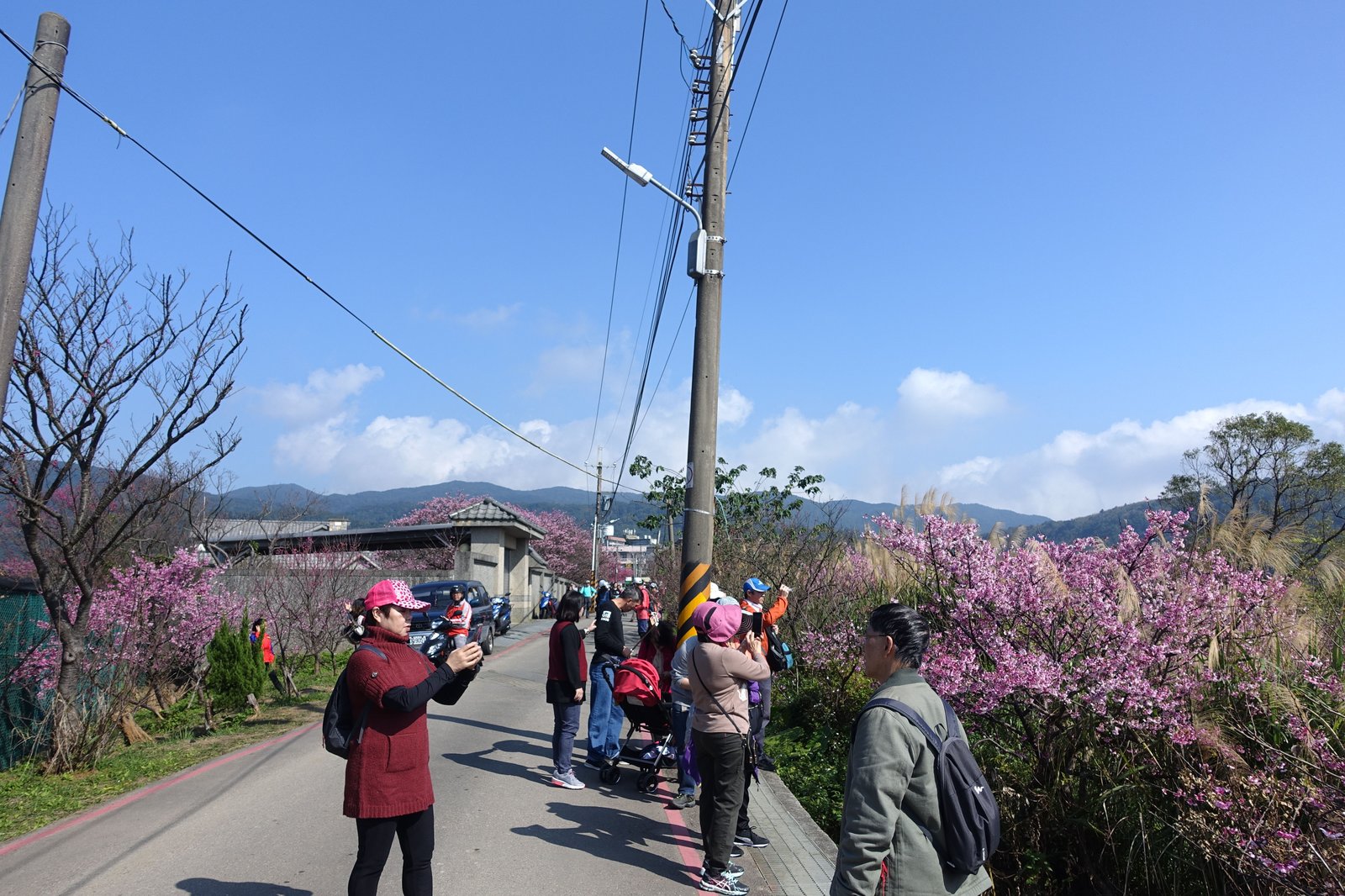 DSC05563.JPG