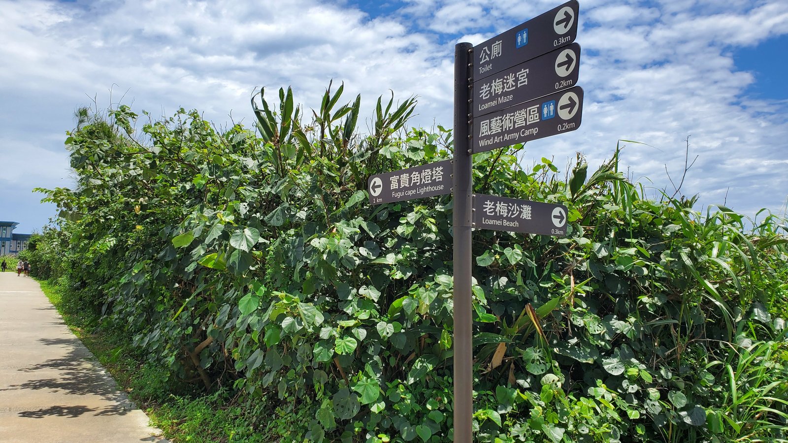 新北石門 富貴角步道：健行，玩沙，看海，燈塔美景一次滿足/ 