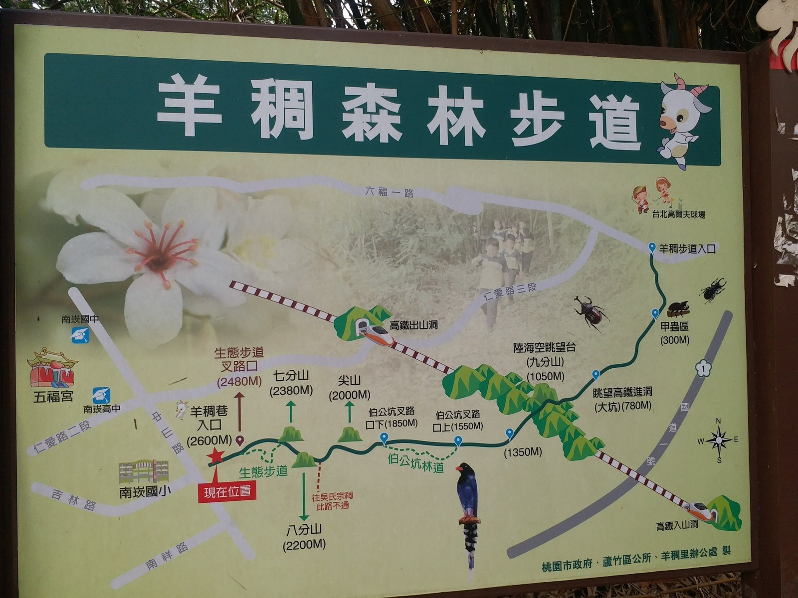 桃園 再訪羊稠坑步道：孕婦，幼兒，或是單純健行都合適/ 優雅