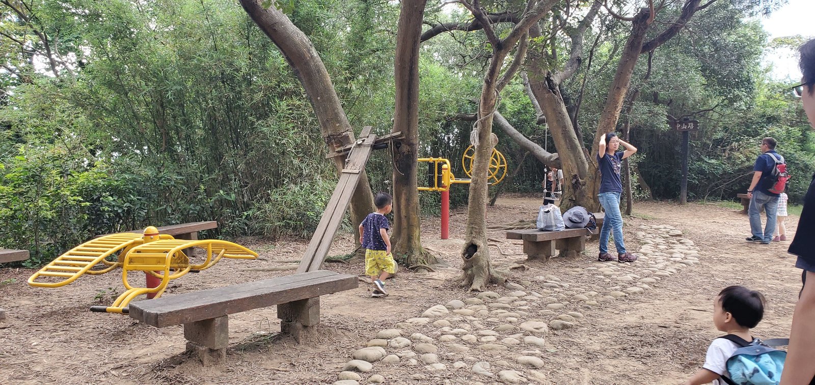 桃園 再訪羊稠坑步道：孕婦，幼兒，或是單純健行都合適/ 優雅