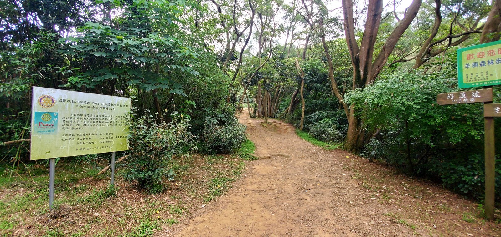 桃園 再訪羊稠坑步道：孕婦，幼兒，或是單純健行都合適/ 優雅