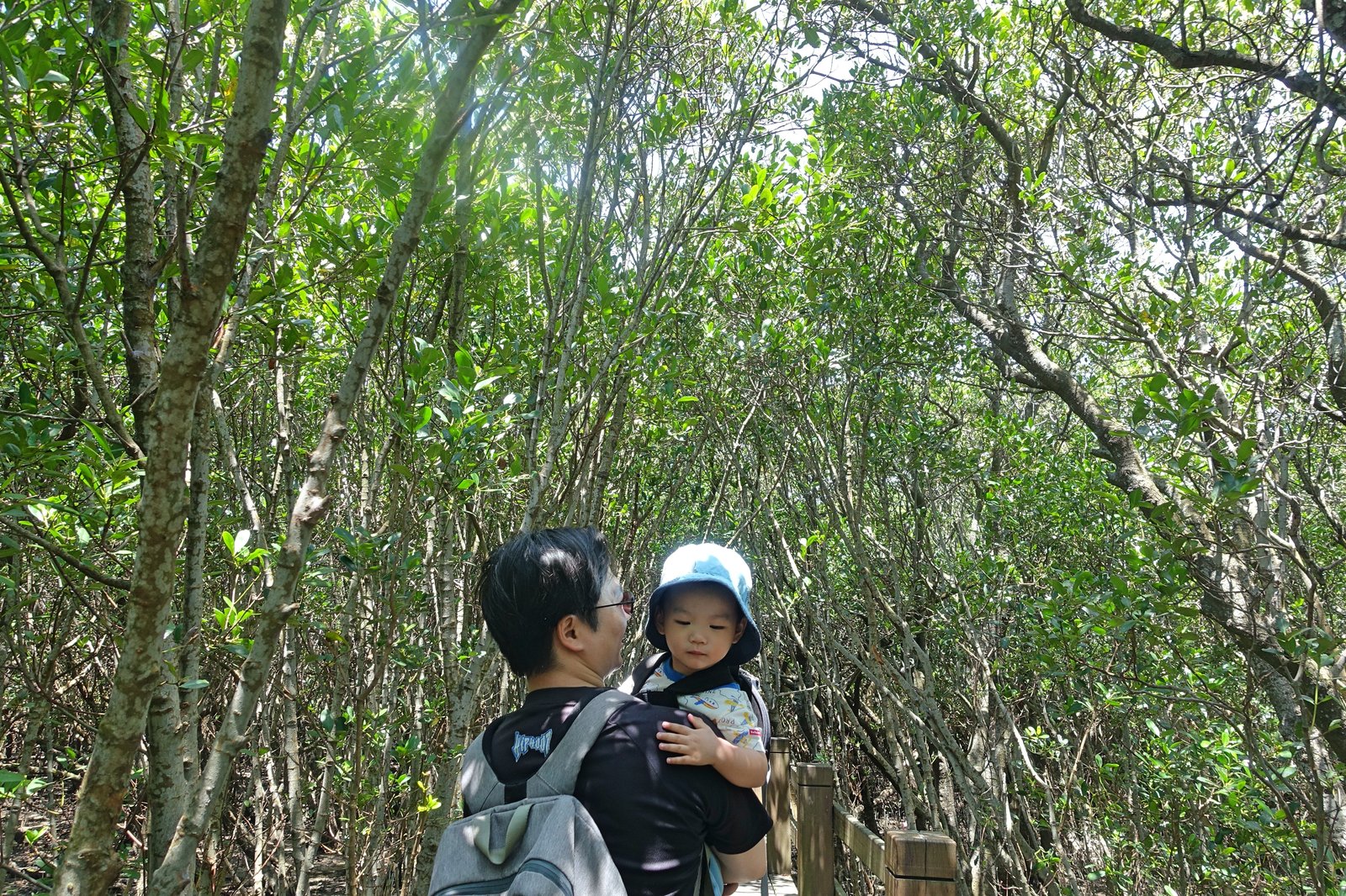 DSC05649_Fotor.jpg