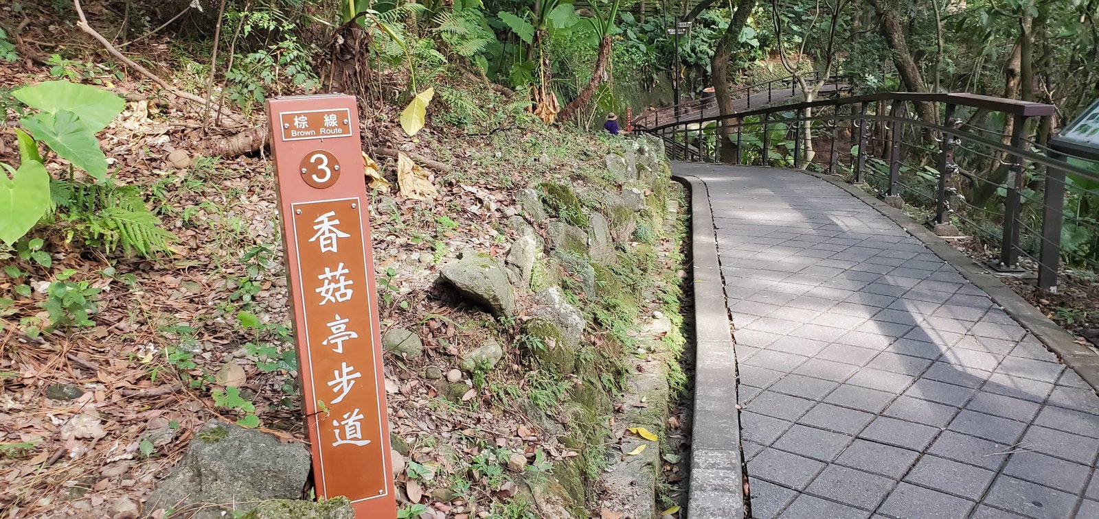 桃園 虎頭山：奧爾森林公園/ 香菇亭步道/ 全齡無障礙步道系