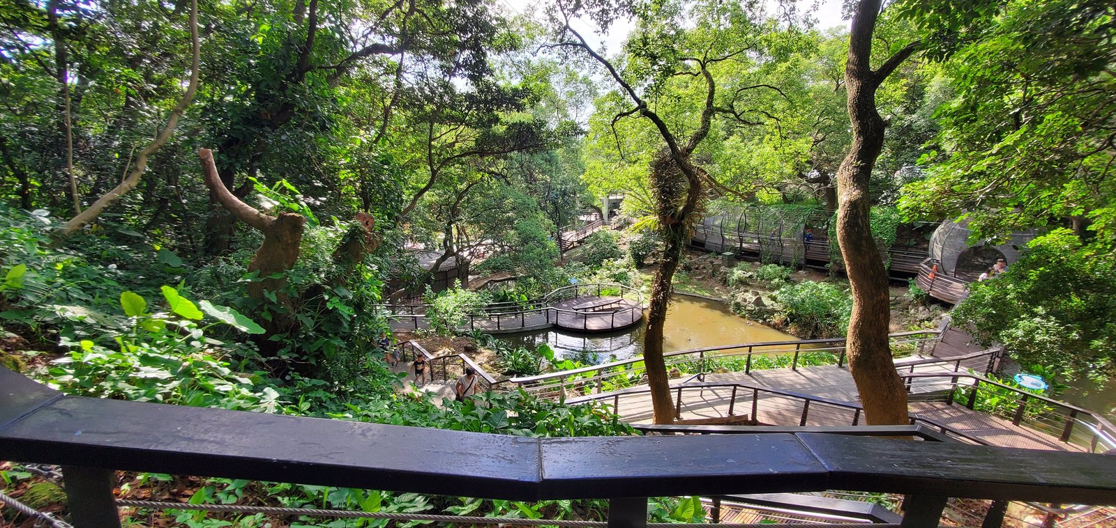 桃園 虎頭山：奧爾森林公園/ 香菇亭步道/ 全齡無障礙步道系