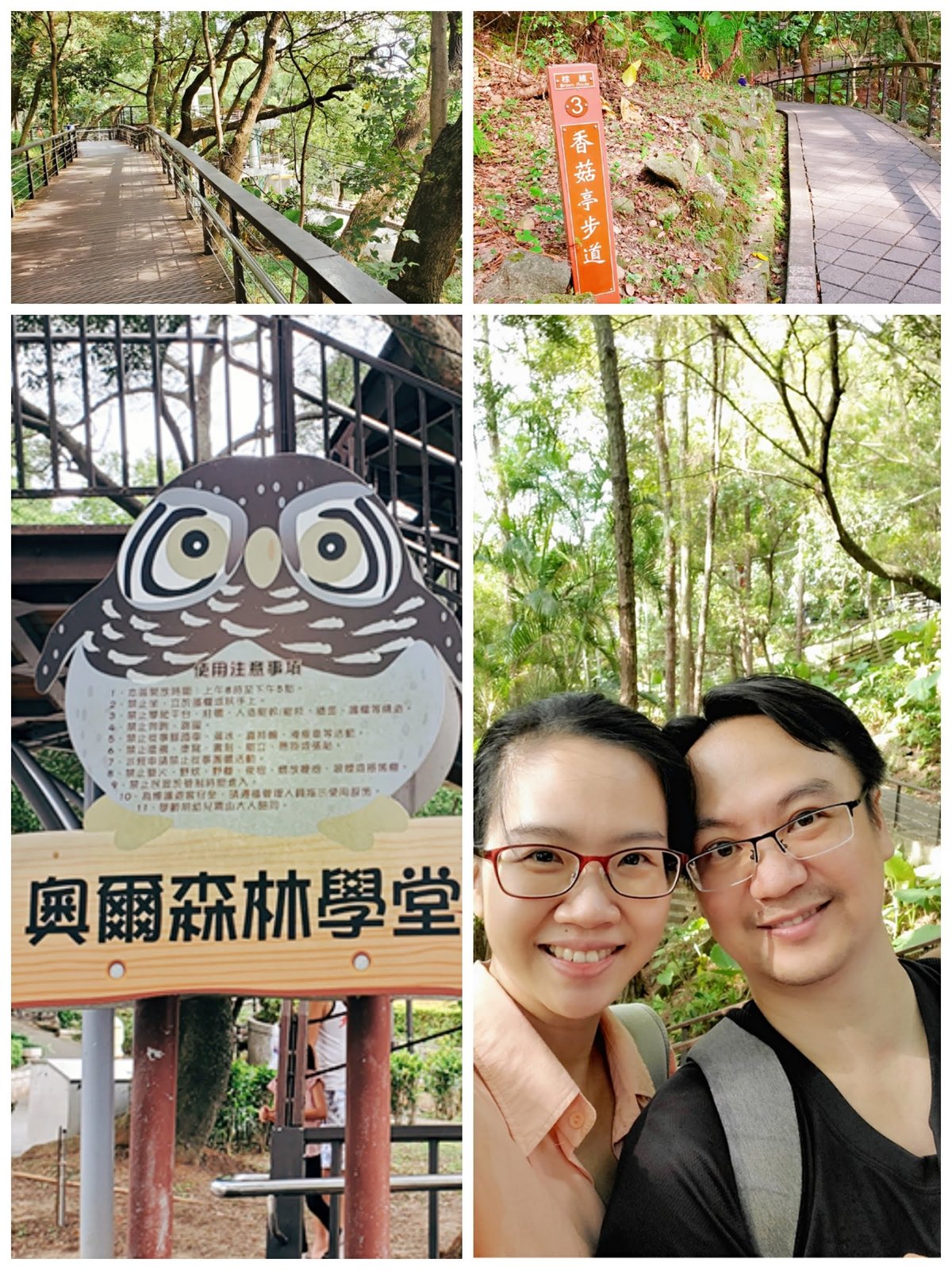 桃園 虎頭山：奧爾森林公園/ 香菇亭步道/ 全齡無障礙步道系