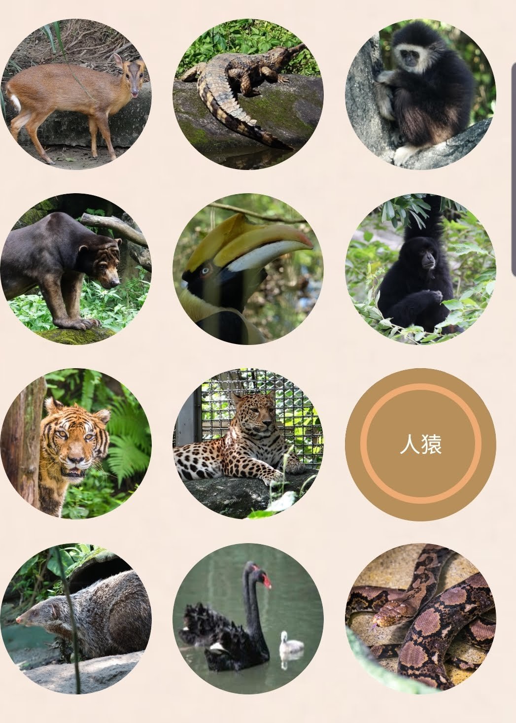 SmartSelect_20191105-115013_Chrome.jpg