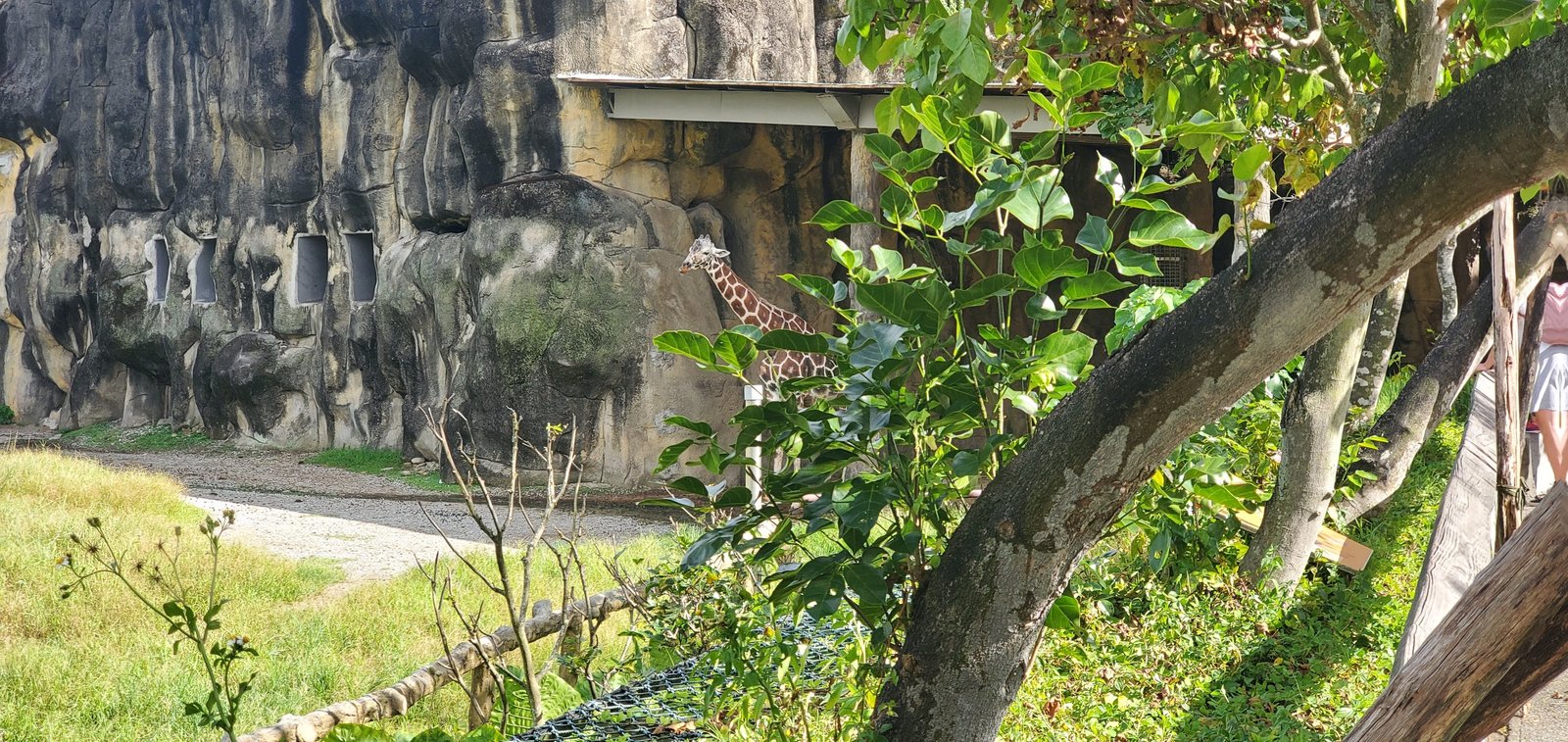 20200823_154343.jpg
