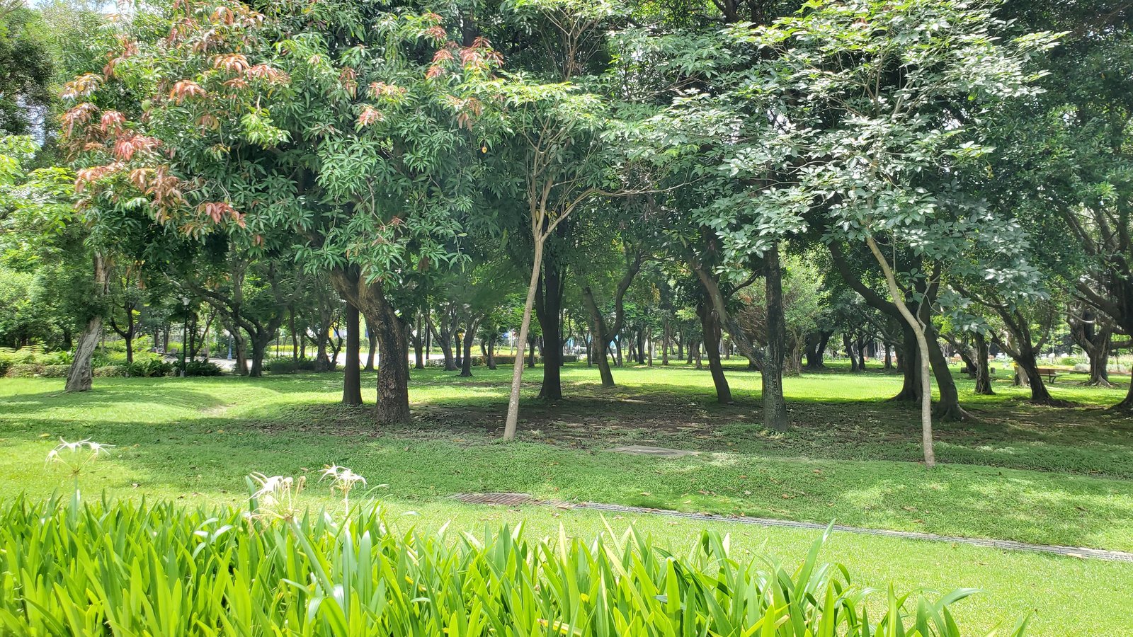 20220618_124923.jpg