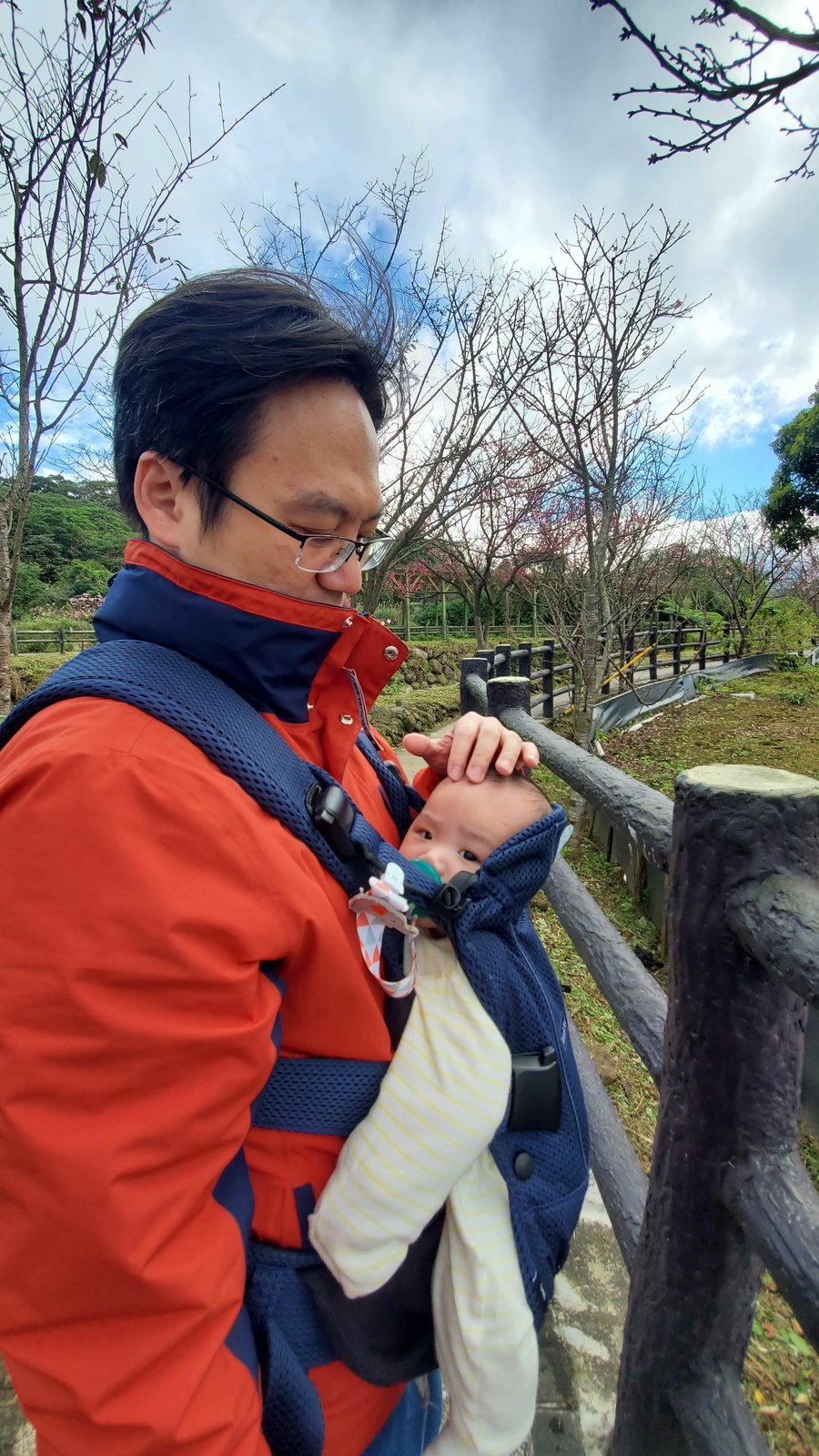新北三芝 三生步道：櫻花開/ 層次感豐富的平坦步道